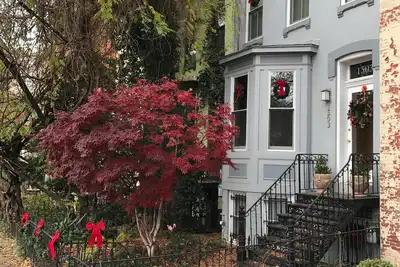 Image de Charmant appartement au sous-sol anglais dans le quartier historique de Dupont Circle