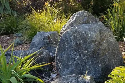 Image de Little River Gem / Jardins exquis / Vues sur l'océan