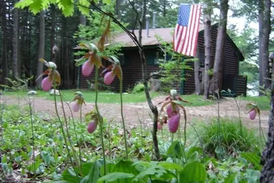 Image de Waterfront charmante cabane dans les bois