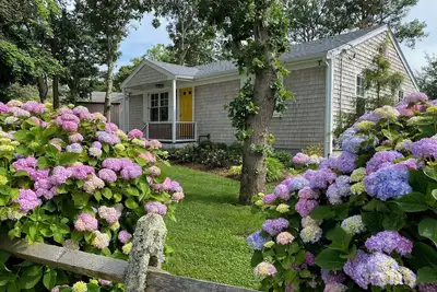 Image de Merveilleusement mis à jour, promenade en ville, climatisation centrale, cuisson au gaz