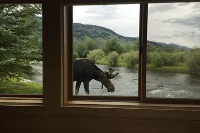 Image de Superbe cabine historique restaurée