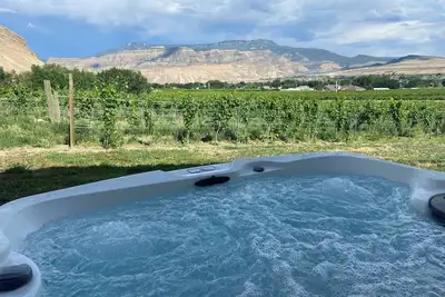 Image de Vignoble maison à proximité de la ville et des fruits et du vin