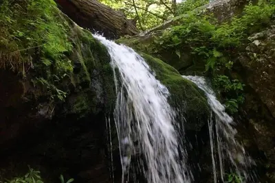 Image de Streamside avec vue sur la montagne! À pied de la ville, condo de luxe