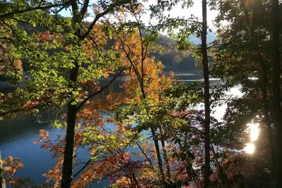 Image de Chalet rustique des Appalaches: quai privé / au bord du lac / intimité sur le lac Nantahala!