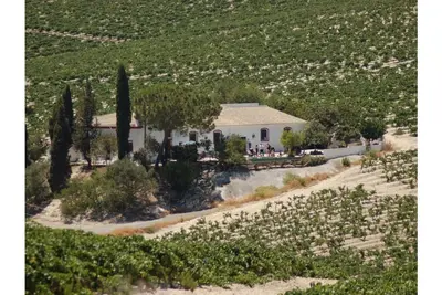 Image de Vignobles Santa Petronila, Vignobles Santa Petronila