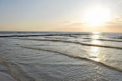 Image de Arbor Leo Lustig - Vacances à Hiddensee / Neuendorf