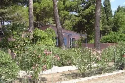 Image de Promo! La franqui maisonnette sous les pins dans village de charme