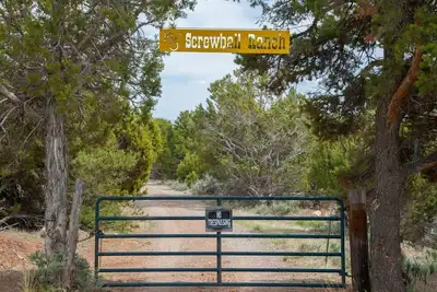 Image de Le Yurt Ă Screwball Ranch