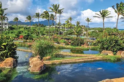 Image de Pointez à Poipu, station balnéaire, belle piscine de style lagon!
