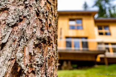Image de Chalet forestier Felizitas Nono2