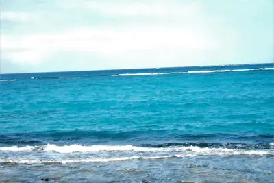 Image de Belle maison en bois, à quelques pas de la plage - 6 personnes - emplacement stratégique