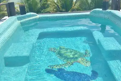 Image de Villa en front de mer - Mahahaul - Costa Maya - Plongée - Familiale - Calme