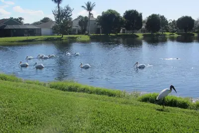 Image de Beachwalk Isles exécutif 4 Chambre Lakeside Pool Villa