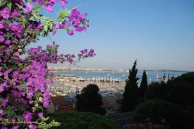 Image de Charmante petite maison avec jardin, 500 mètres Croisette et rue d'Antibes