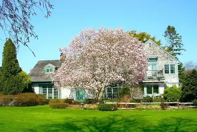 Image de Cottage anglais, Water Mill South, Mecox Bay Views, intimité et jardins, piscine,