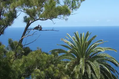 Image de grand appartement dans un emplacement privilégié au-dessus de la mer, avec piscine, jardin, barbecue