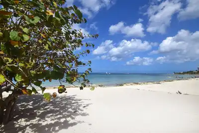 Image de Incroyable villa familiale en bord de mer; Piscine, personnel, plongée en apnée incroyable
