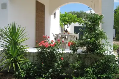 Image de Maison de campagne entourée d'oliviers, à quelques km d'Ostuni et de la mer