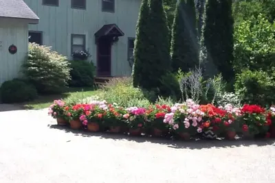 Image de Mignonne, calme et ensoleillée, à la maison de tout ce qui est génial à propos de Leland.