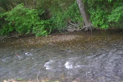 Image de Darling, escapade à la montagne \/ huit acres avec calme Creek Area