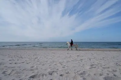 Image de Appartement Achtern Diek en chaume dans un style traditionnel, sur la plage