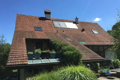 Image de Grand appartement, où non seulement les hirondelles se sentent à la maison