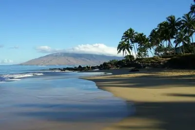 Image de Calme, toute nouvelle cuisine, salle de bain, et lit king size!
