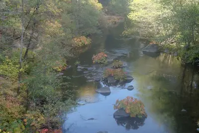 Image de Canyon Cottage: une oasis de paix dans un monde pressé
