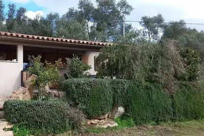 Image de Jolie villa arborée d'oliviers à 300m du centre de Porto Vecchio, proche plage