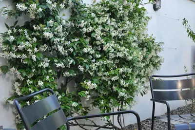 Image de Navigli Loft avec jardin privé