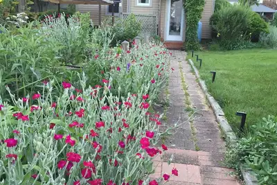 Image de Cottage De Plage RÉNOVÉ Avec Fourche Au Nord - Promenade à la plage, restaurants, Jit