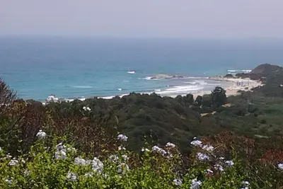 Image de «Le jardin d'été»