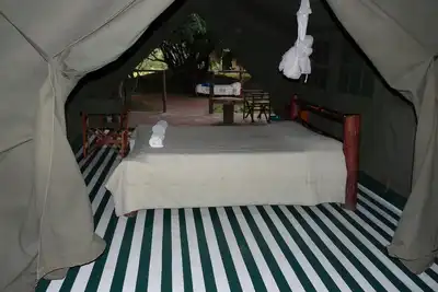 Image de Enchoro Wildlife Camp Masai Mara Hébergement sous tente