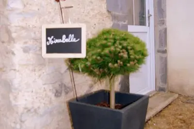 Image de Gîte \"Mirabelle\" à la campagne avec piscine