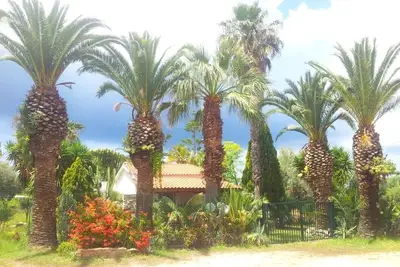 Image de Magnifique Villa entourée de verdure luxuriante - Plage proche emplacement paisible