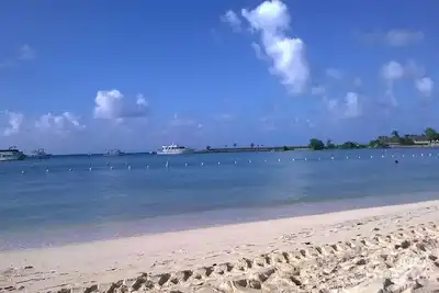 Image de A View From Paradise