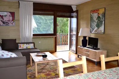 Appartement neuf de trois pièces à deux pas des pistes (vous pouvez vous y rendre à pied! )