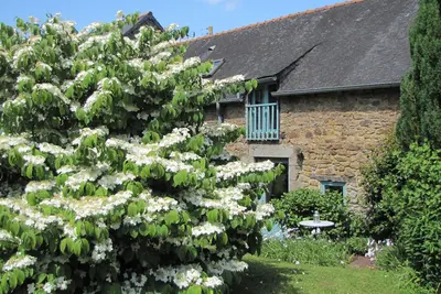 Image de Gite traditionnel de haute qualité pour 2 à Gomene centre Bretagne avec piscine & Wifi