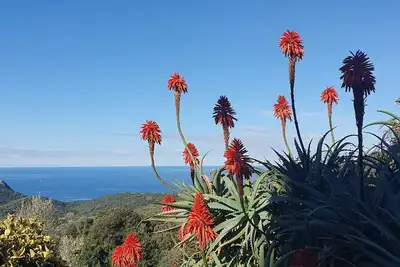 Appartement dans une ambiance rustique avec vue sur la mer
