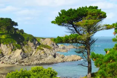 Image de Cottage Individuel Surplombant la mer