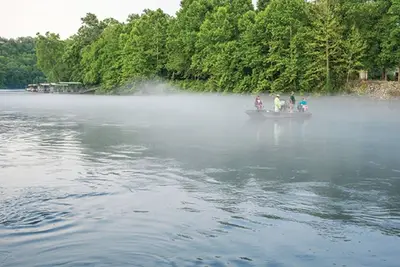 Image de 1bdrm ~ Pres De Spectacles En Direct, Musique De Pays Blvd, PÊCHE, Casino, Ozarks Et Plus