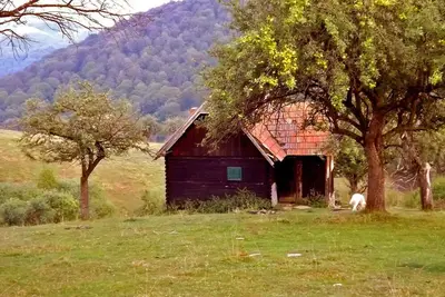 Image de • Cozo Fantu • ancienne cabane de berger dans les Carpates en Transylvanie près de Sibiu
