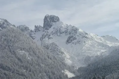 Image de Maison spacieuse et familiale avec garage dans le domaine skiable de Dachstein West