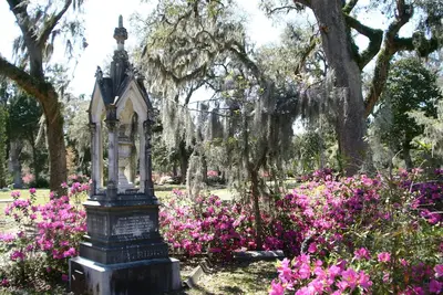 Image de Belle Skidway Island Home - Lever / coucher de soleil sur l'eau à Savannah, Ga, Usa