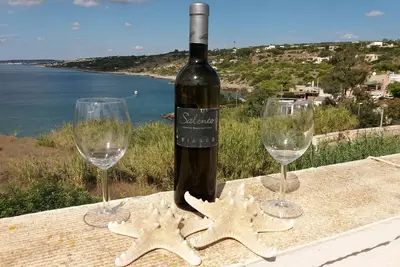 Image de La baie enchantée de San Gregorio.