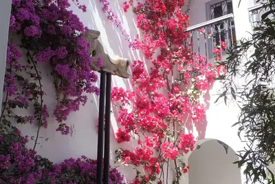 Image de Maison dans la médina de Bizerte