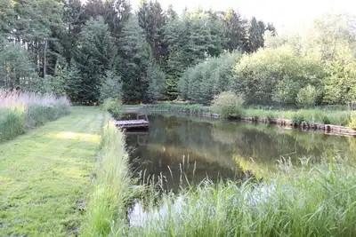 Image de Vacances dans la lande! Famille ou célibataire! Randonnée pédestre, à cheval ou à vélo!