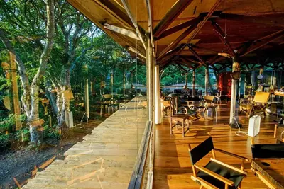 Image de Moderne du milieu du siècle - Maison tout en verre - Conçu par Frank Lloyd Wright Apprentice