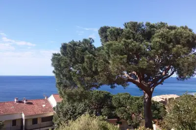Spacieux F1 route des Iles Sanguinaires grande terrasse  vue mer proche plages