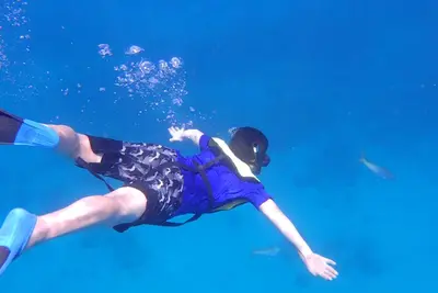 Image de Les villas Westin St John Usvi